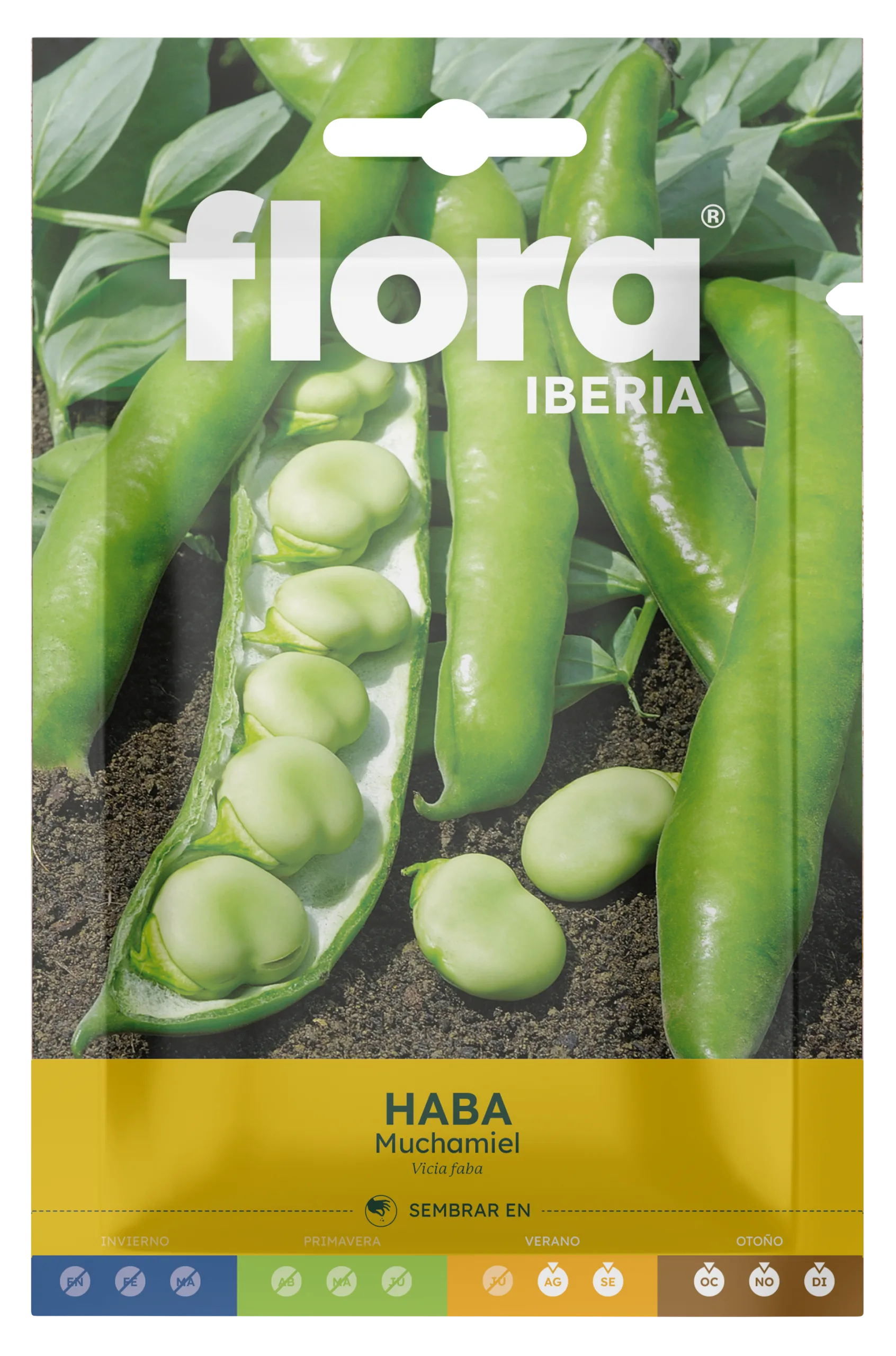 IC01613BOLS - Haba Muchamiel