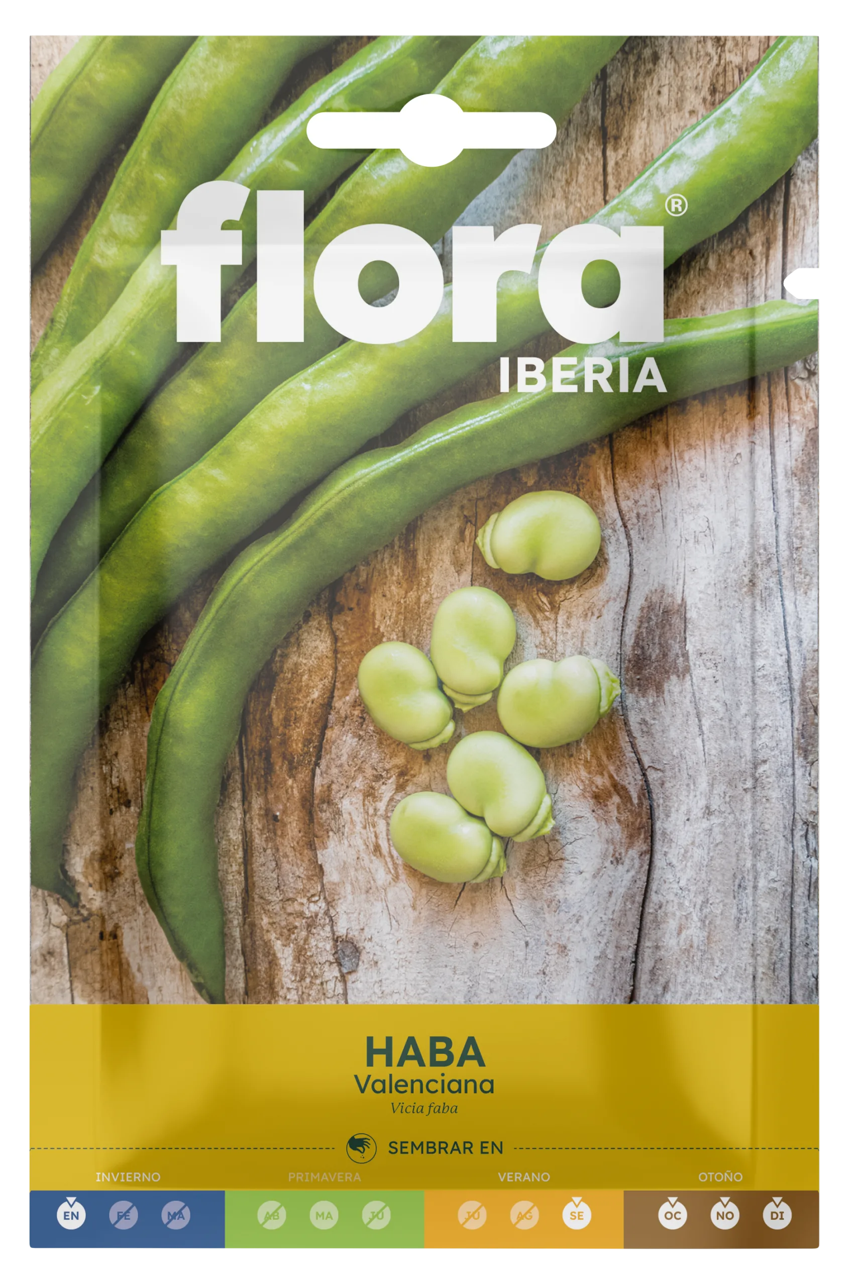 IC01614BOLS - Haba Valenciana