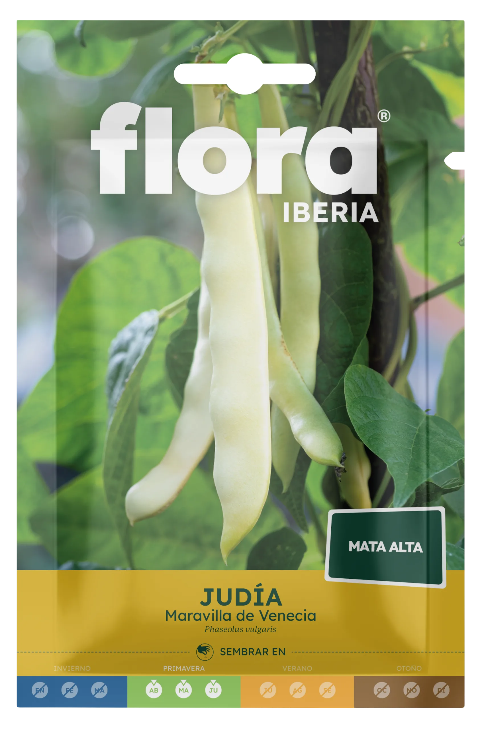 IC01648BOLS - Judía de Maravilla de Venecia