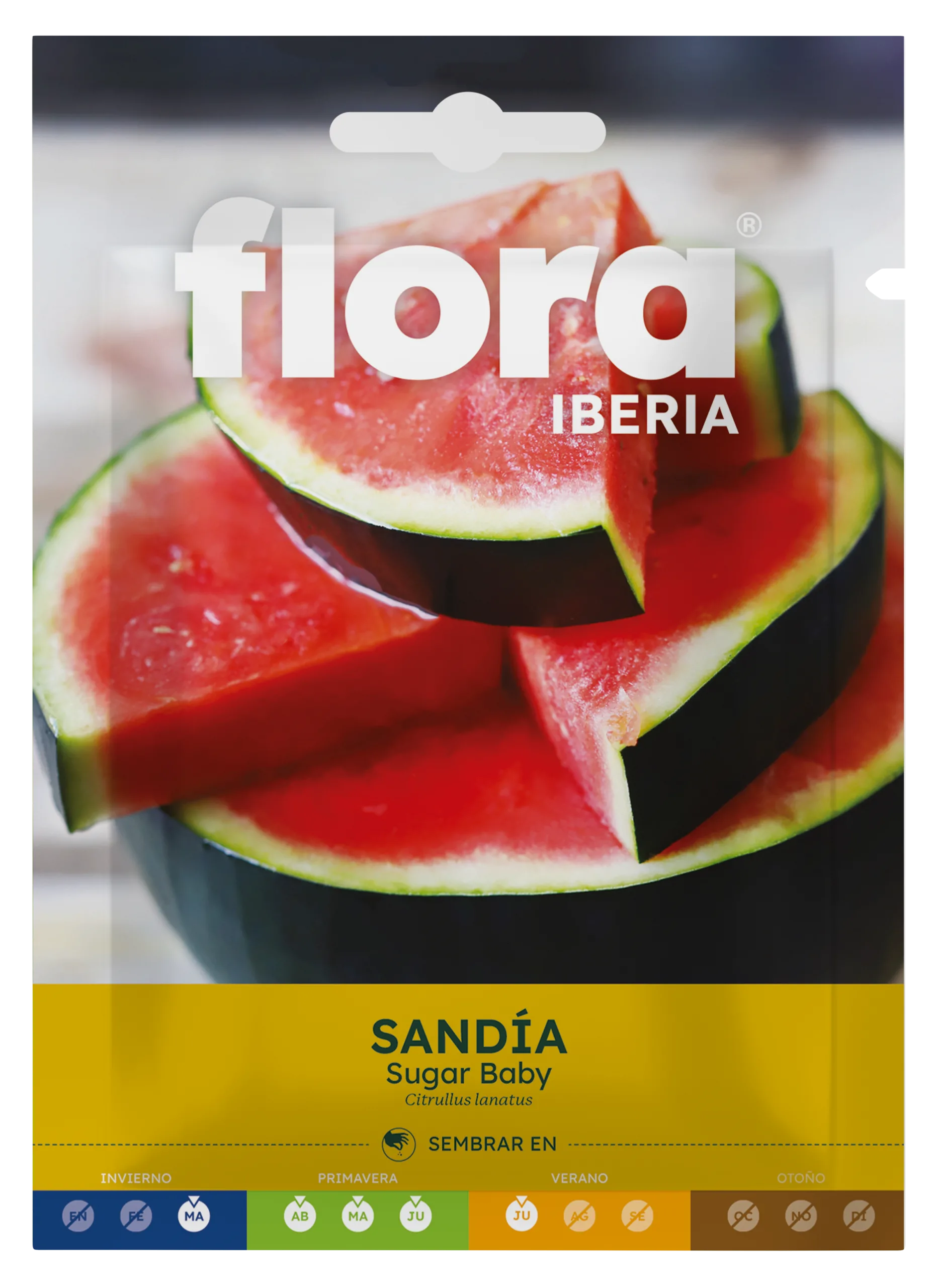 IC01665BOLS - Sandía Sugar Baby