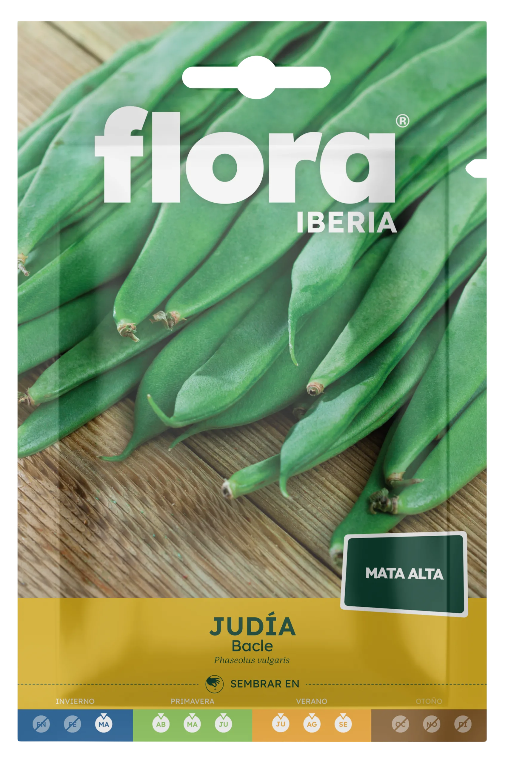 IC01666BOLS - Judía Bacle
