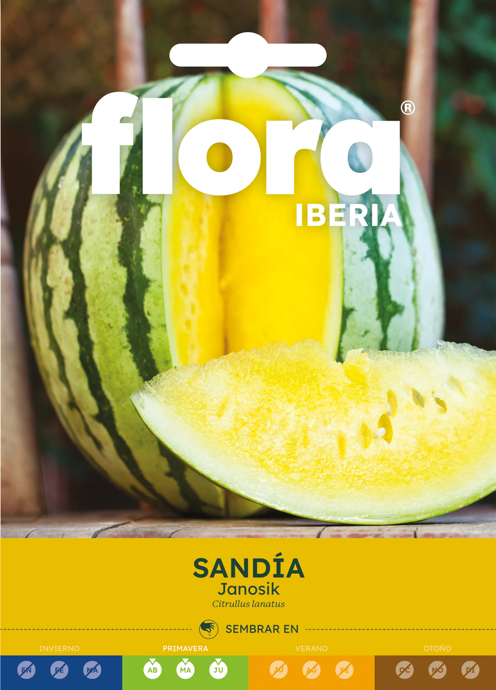 IC01667BOLS - Sandía Janosik