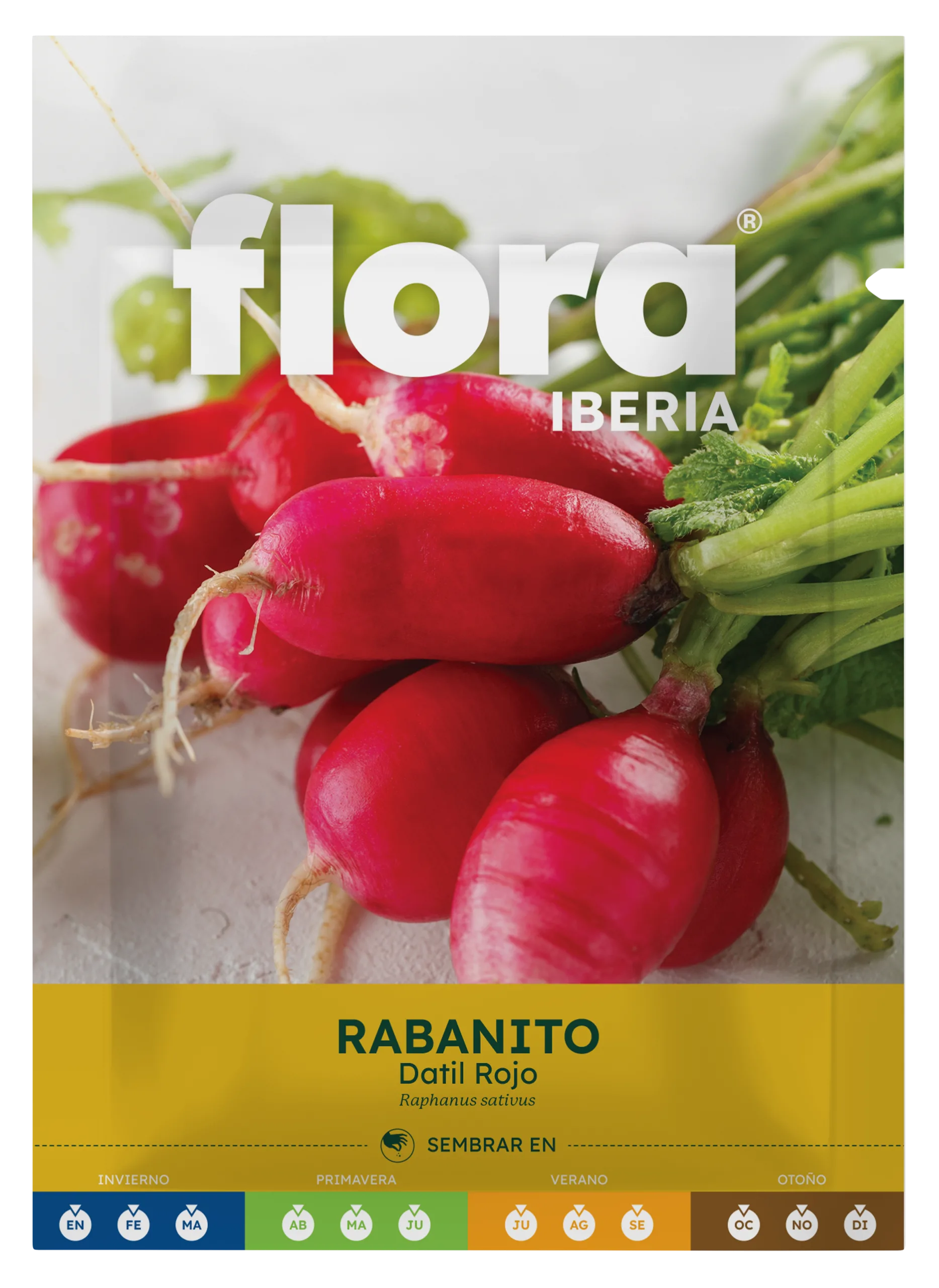 IC01845BOLS - Rabanito Datil Rojo
