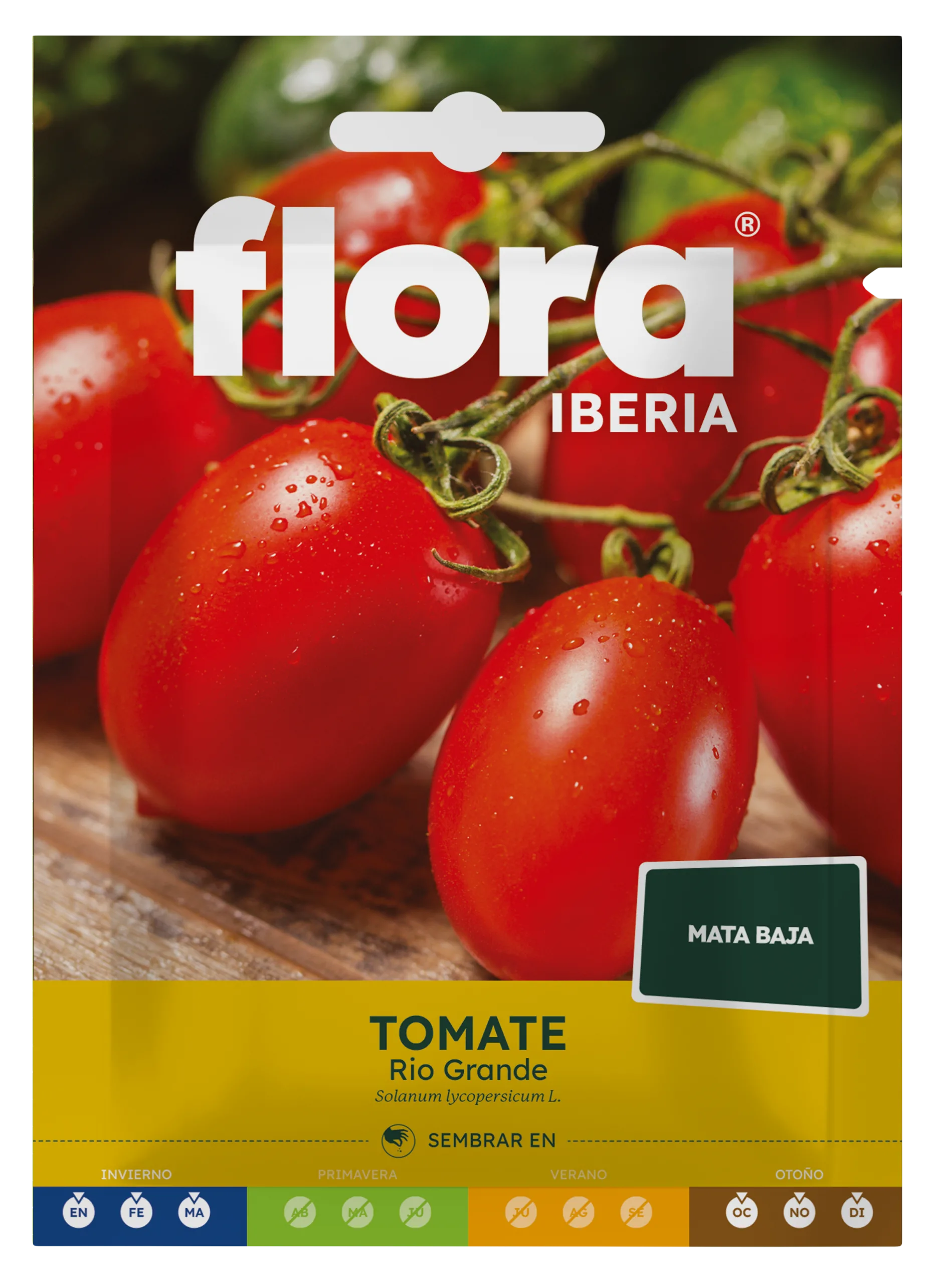 IC01907BOLS - Tomate Rio Grande