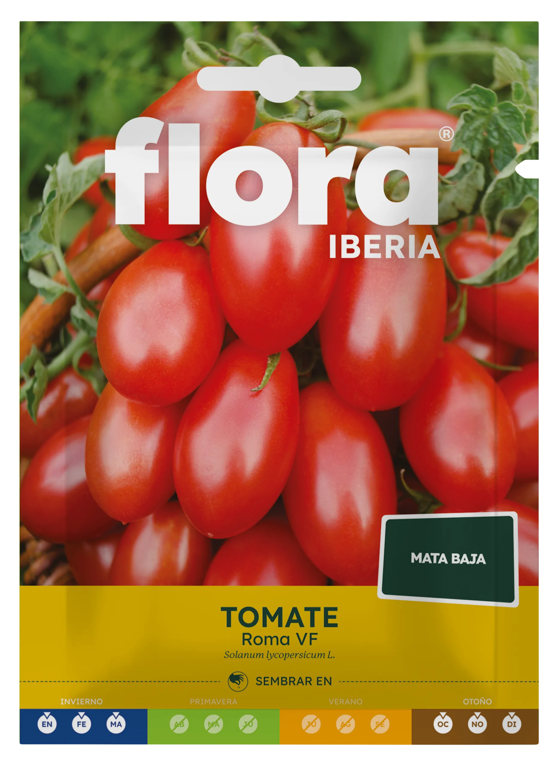 IC01908BOLS - Tomate Roma VF