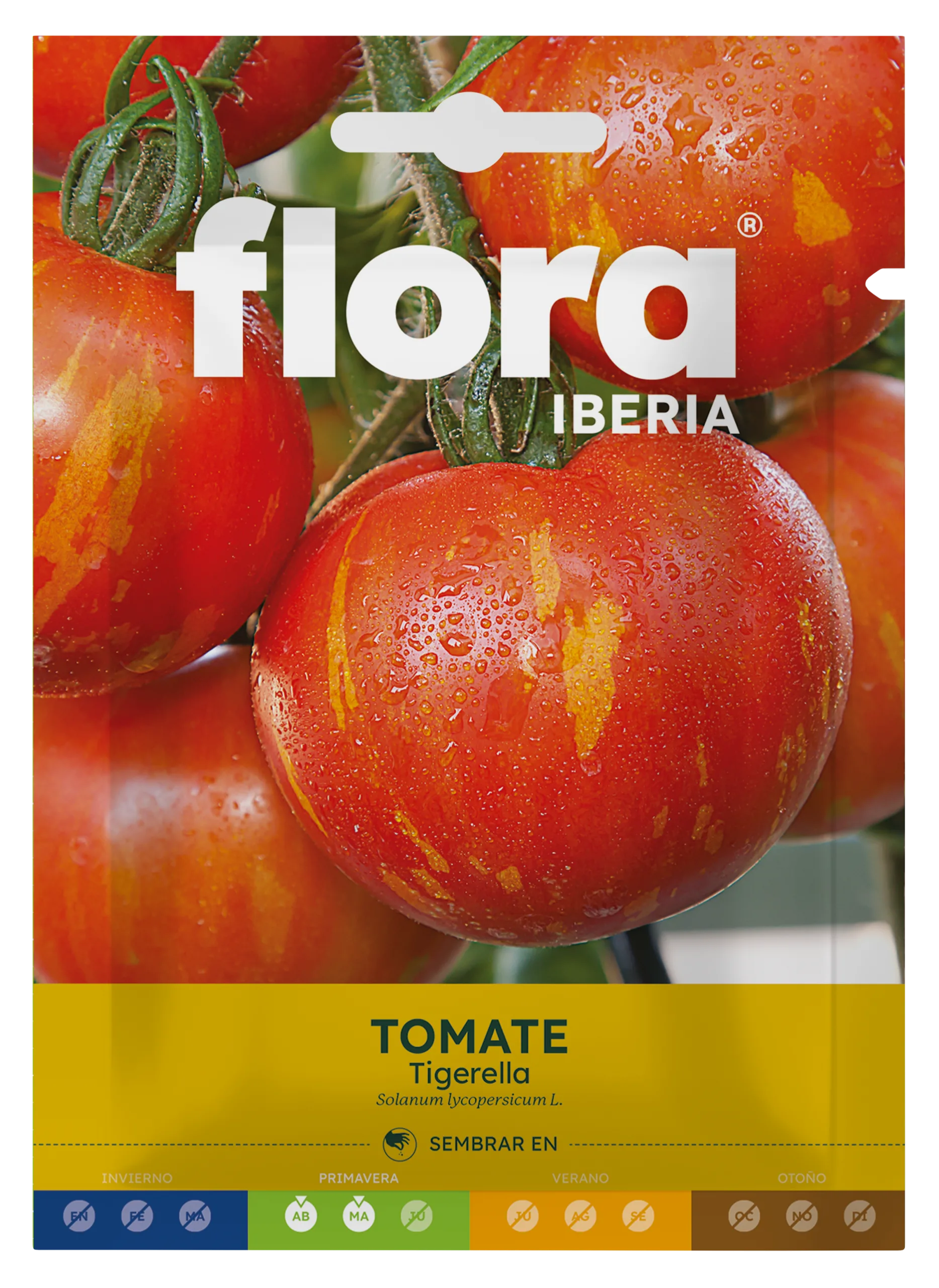 IC01918BOLS - Tomate Tigerella