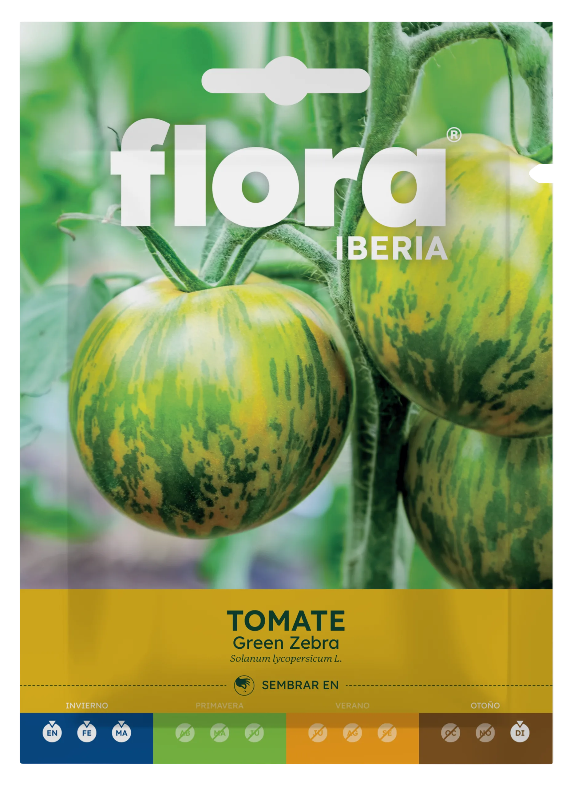IC01923BOLS - Tomate Green Zebra