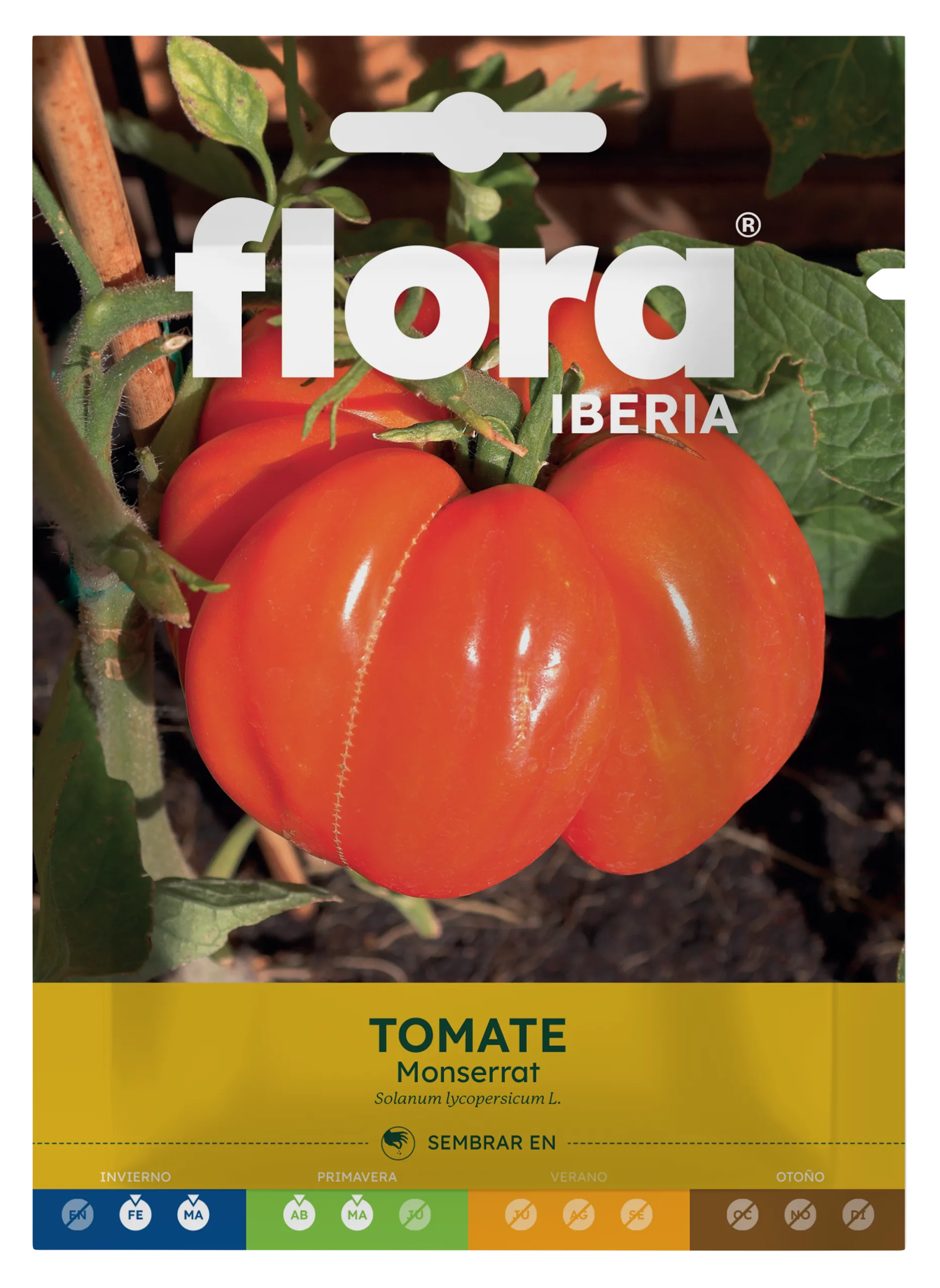IC01924BOLS - Tomate Monserrat