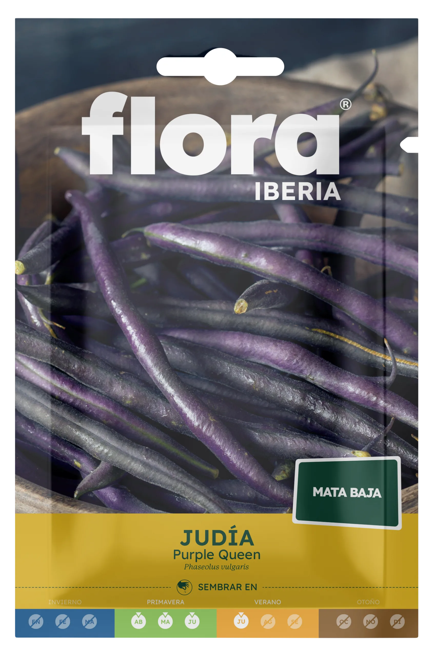 IC16365BOLS - Judía Purple Queen