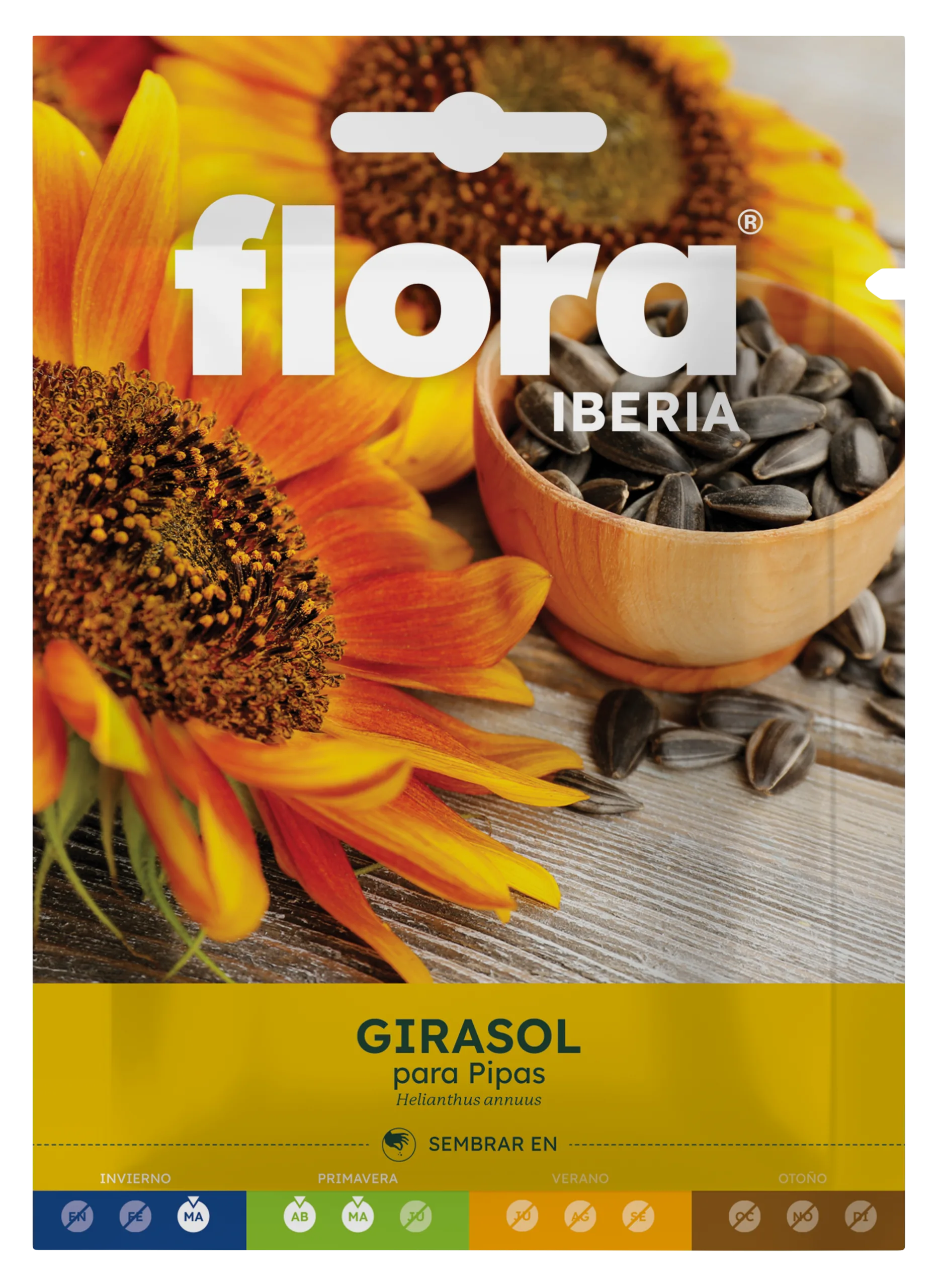 IC16385BOLS - Girasol para Pipas